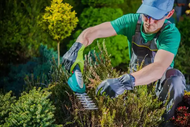 landscaping services Norbourne Estates
